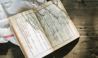 伍子胥的故事简介（紫金县蓝塘伍子胥的故事简介）