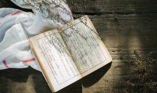 循序渐进是什么意思（循序渐进是什么意思解释）