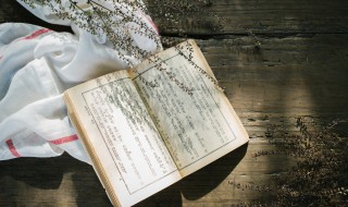成语的由来简介（成语的由来简介100字）