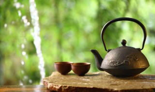 茶的由来简介（茶的由来简介100字）