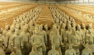 兵马俑历史简介（兵马俑历史简介500字）