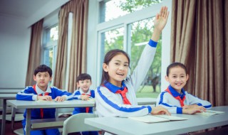 Chip是什么意思（医学chip是什么意思）