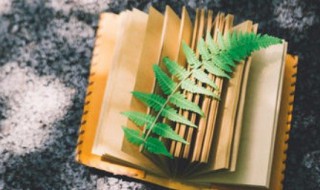 后缀是什么意思 al后缀是什么意思