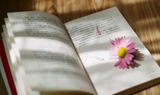 戛然而止的意思（戛然而止的意思和用法）