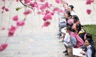 民办学校公费生是什么意思 公费生和民办生是什么意思