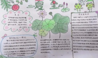 二十四节气夏至手抄报内容 二十四节气夏至手抄报简单