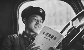 有关雷锋的资料