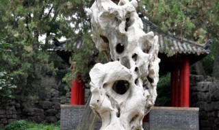 太湖石的资料（太湖石是什么样的）