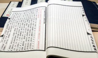 袁枚的资料（袁枚的资料袋）
