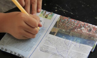 至亲至爱的意思（至亲至爱的意思是啥）