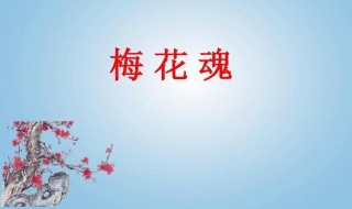 梅花魂的意思（梅花魂的意思10字）