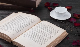 参观记作文 参观记作文500字以上