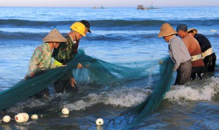 洞庭湖的资料 西湖和洞庭湖的资料