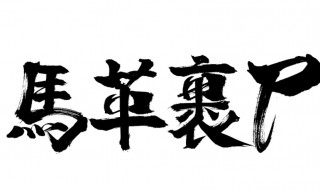 马革裹尸的意思是什么 马革裹尸的意思是什么意思啊