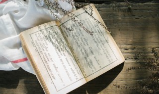 岂曰无依衣与子同袍的意思