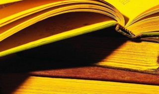 把的多音字怎么组词 把多音字怎么组词量