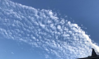 云的高度（积云 卷云 层云的高度）