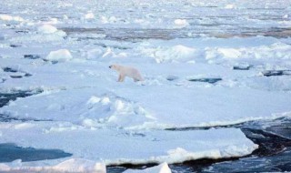 北极暖季几月 北极暖季几月份结束