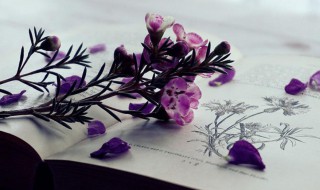 疏怎么读 疏怎么读组词