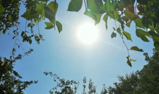 夏天是白天长还是晚上长 夏天白天长还是晚上长夏天真的来了