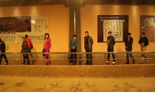 参观博物馆作文（参观博物馆作文600字）