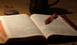 我毕竟走过作文 我毕竟走过作文800字