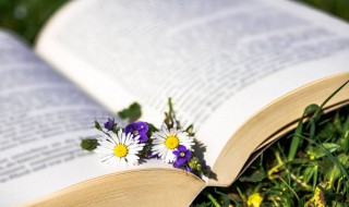 认清自己作文（认清自己作文开头）