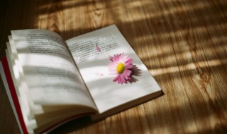 惬意的生活意思是什么 惬意生活什么意思是什么