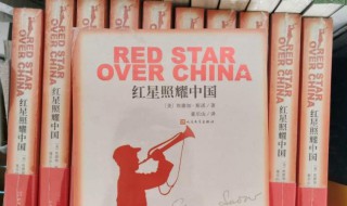 红星照耀中国故事简介（红星照耀中国故事简介100字）