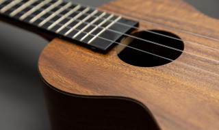 声音夹子是什么意思 声音 夹子