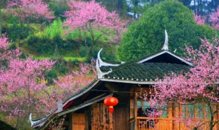 桃花源记原文翻译（桃花源记原文翻译简短）