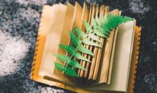 左中右结构的字有哪些 一年级左中右结构的字有哪些