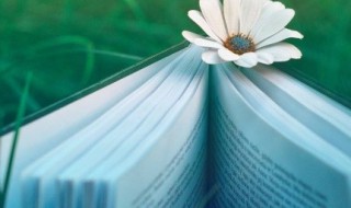 上字加一笔有哪些字（上字加一笔有哪些字15个）