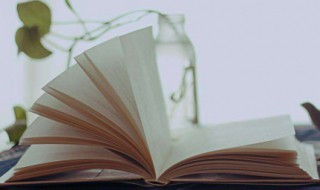 阝旁的字有哪些（阝旁的字有哪些一年级）