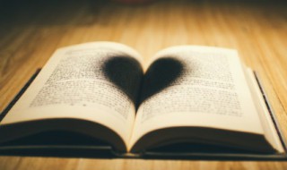 牛字旁的字有哪些字（牛字旁的字有哪些字字旁的字有哪些）