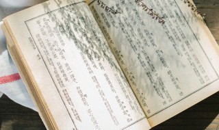 河中石兽翻译及原文（河中石兽翻译及原文朗读）