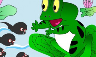 小蝌蚪找妈妈课文原文 小蝌蚪找妈妈课文原文阅读