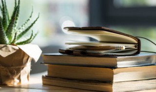 吉利的成语 五有什么吉利的成语