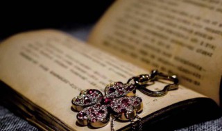 黄生借书说原文及翻译（黄生借书说原文及翻译注释）