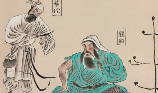 华佗传原文及翻译（三国志·华佗传原文及翻译）