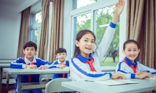 木字旁有哪些字 目字旁有哪些字