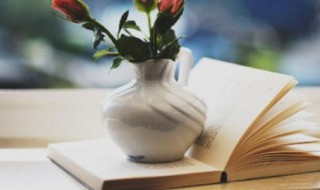 车偏旁的字有哪些（车偏旁的字有哪些组词）