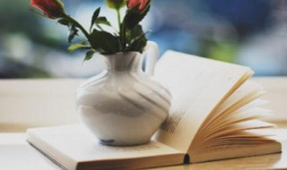 口字旁的词语有哪些（都是口字旁的词语有哪些）