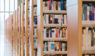 双数有哪些数字（双数有哪些数字有0吗）