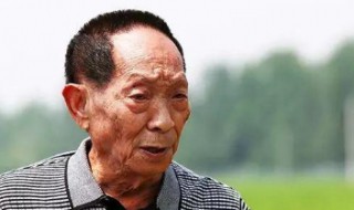 袁隆平的贡献是什么 袁隆平的贡献是什么知乎