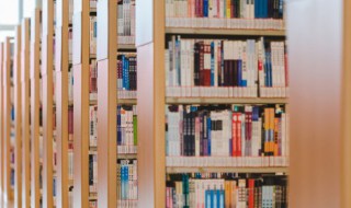 文艺复兴时期作品文献（文艺复兴时期的文献）