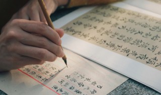 身字旁的字有哪些（身字旁的字有哪些组词）