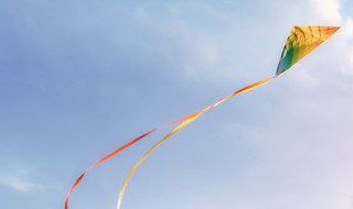 风的好处有哪些 蜂胶对脑中风的好处有哪些