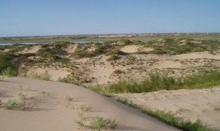 荒漠化和沙漠化从土壤学角度 如何看待土壤沙漠化的现象