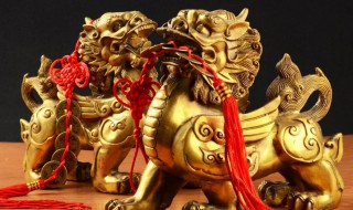 貔貅怎么念 貔貅怎么念?